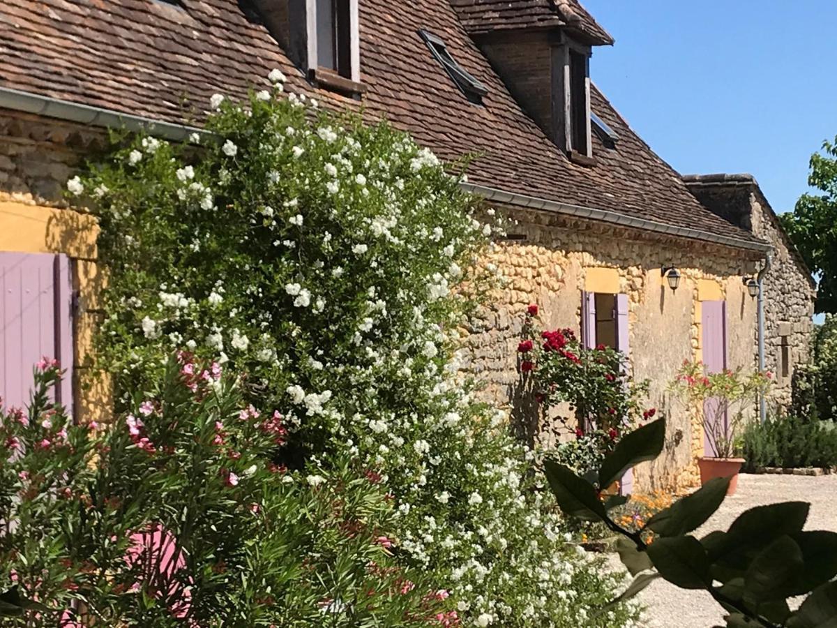Chambre D'Hotes La Ferme De La Croix. Saint-Avit-Sénieur Zewnętrze zdjęcie